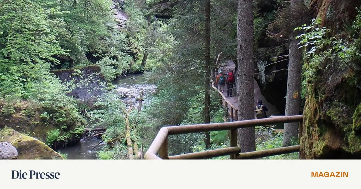 elbsandsteingebirge-nicht-die-alpen-aber-doch-ordentliche-h-henmeter-premium