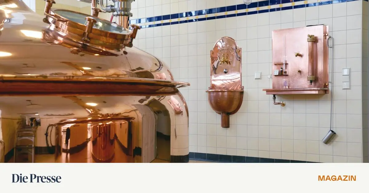 Die-Hafermilch-aus-der-Brauerei-premium-