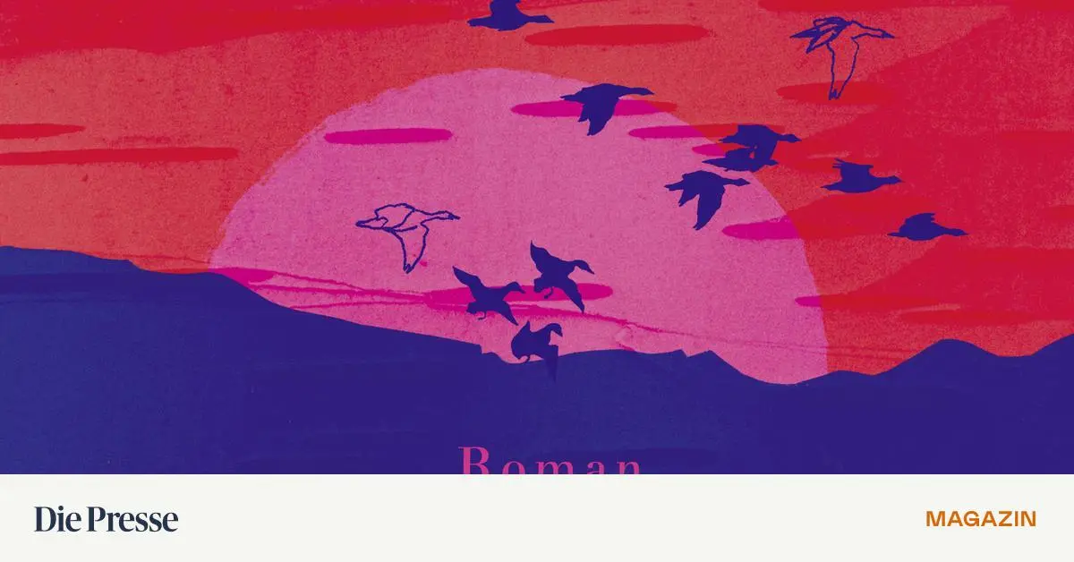 -acht-jahreszeiten-das-problem-mit-den-s-mi-premium