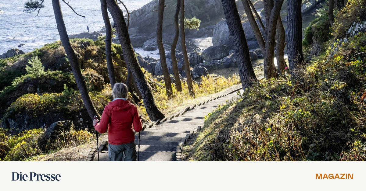 15-Jahre-nach-der-Katastrophe-an-Japans-Pazifikk-ste-Wandern-durch-Sch-nheit-Erz-hlen-vom-Schrecken-des-Tsunami-premium-
