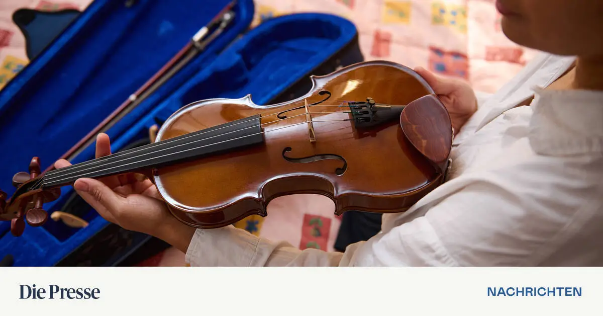 Geige-als-Handgep-ck-Musikerin-schreibt-h-flichen-Beschwerdebrief-an-Lufthansa-und-hat-Erfolg