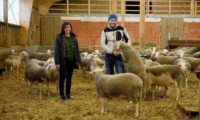 Zutraulich sind vor allem jene Schafe, die sie selbst aufgezogen haben, sagen Katharina und Gerald Schinwald.