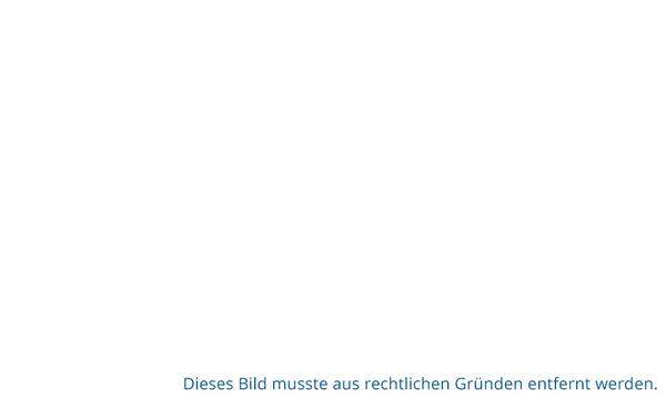 Auch schon lange vor dem digitalen Zeitalter wussten Diktatoren um die Macht des (manipulierten) Bildes. Stalin etwa ließ Gegner nachträglich von Fotos entfernen. Auf dem Original-Bild von 1920 (links) stehen Leo Trotzki und Leo Kamenew auf der Treppe des Podests, auf dem Revolutionsführer Lenin gerade eine Rede hält. In späteren Veröffentlichungen waren der verbannte Trotzki und der hingerichtete Kamenew verschwunden. Sich selbst ließ Stalin dagegen in ein Bild von Lenin hineinretuschieren, um sich als dessen legitimer Nachfolger zu zeigen.