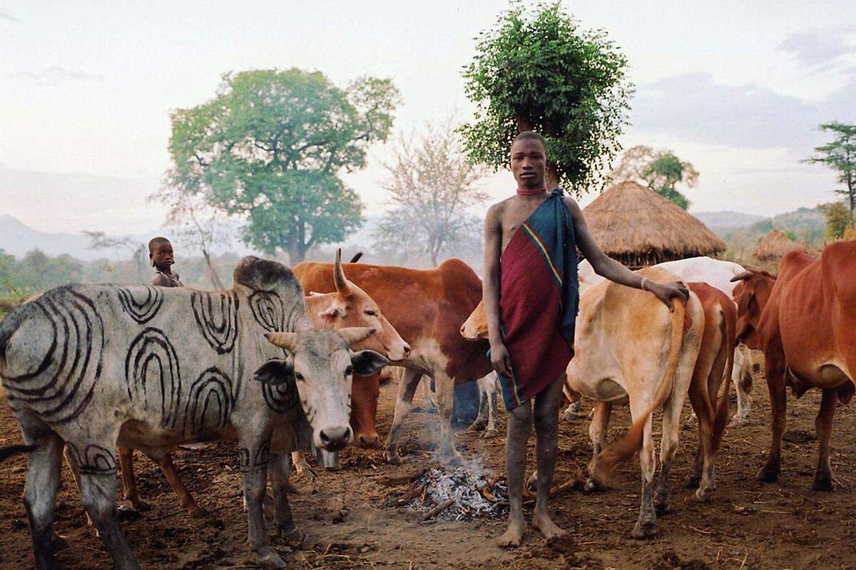 Ein Mursi und sein Vieh wärmen sich an einem Feuer im Omo-Tal in Äthiopien. Bevor junge Mursi eine eigene Familie gründen und selbst Väter werden, nehmen sie an Stockkämpfen teil, um potenzielle Frauen zu beeindrucken.