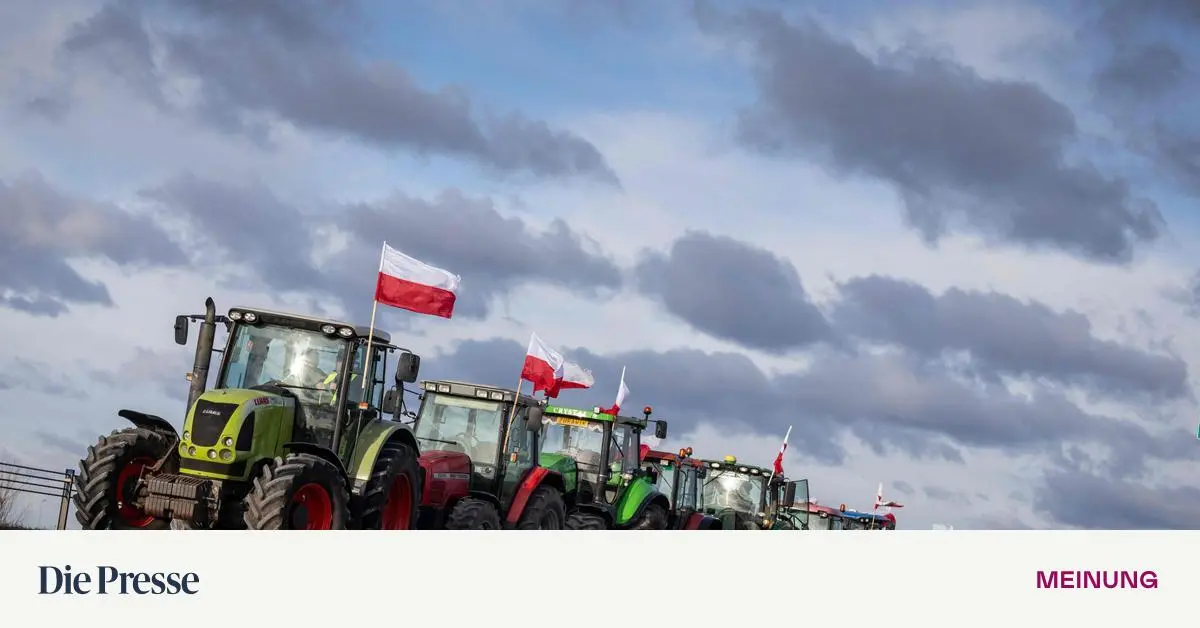 Mercosur-und-sterreichs-Provinzialismus