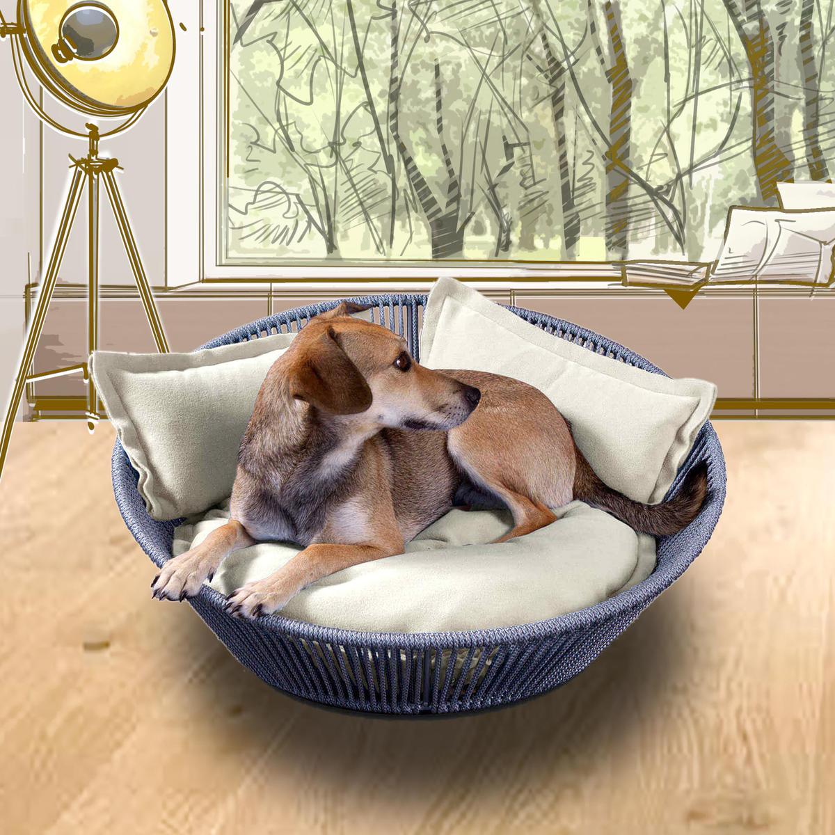 Bequemer Hundekorb mit Farbakzent.