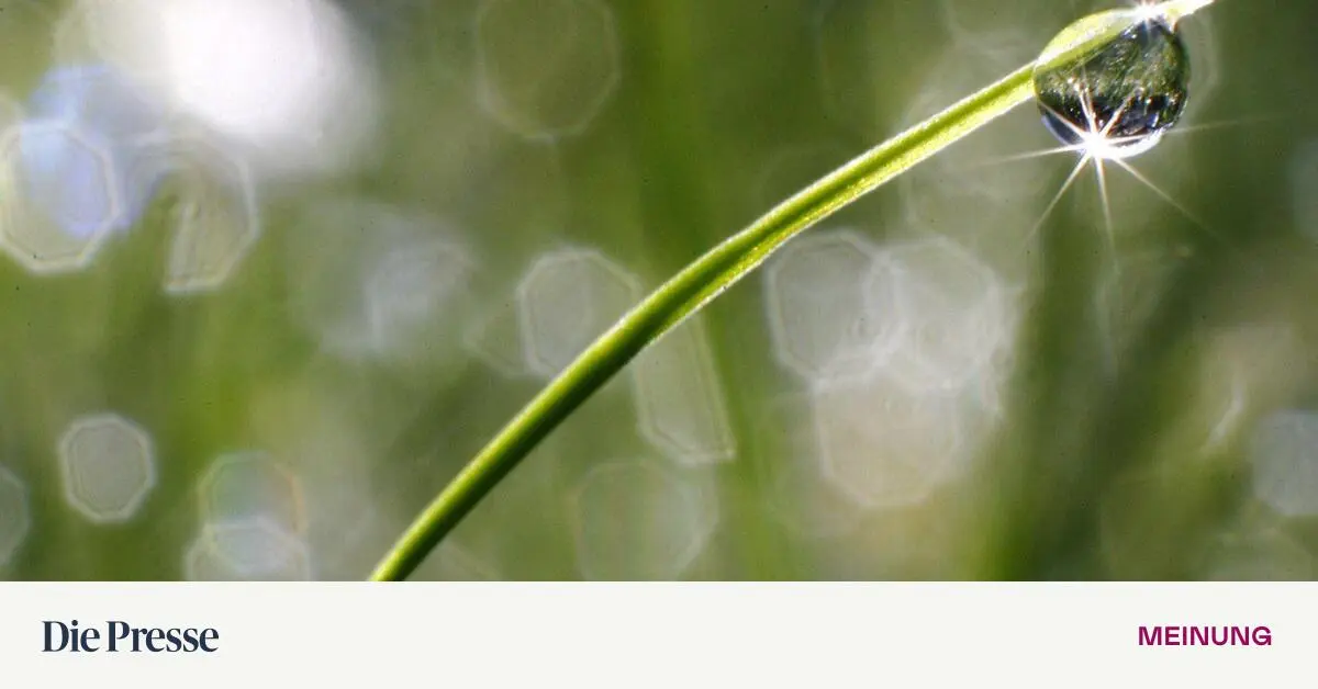 Einfache-Bausteine-des-Lebens-premium-