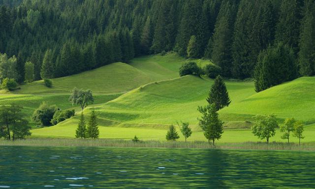 Am Weißensee in Kärnten war am Freitag die Renaturierung der Naturflächen in Österreich - und der ganzen EU - Thema. 