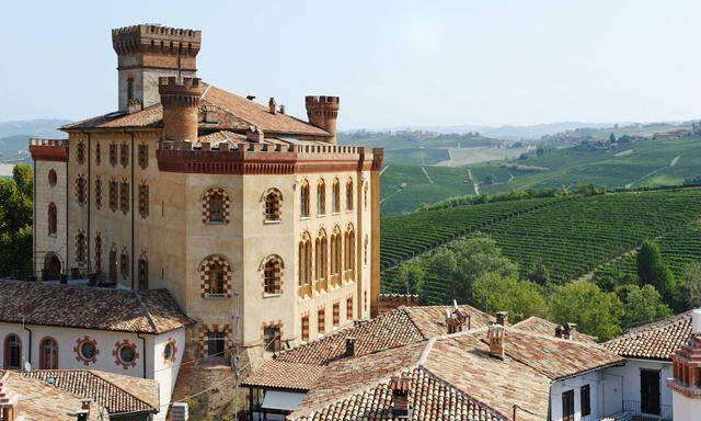Hügel, Reben, Hügel, Reben: Das Castello di Barolo liegt auf dem Genusskurs durch Piemont.