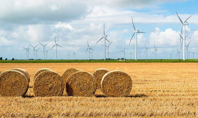 1200 neue Windkraftanlagen sollen bis 2030 in Österreich gebaut werden. 