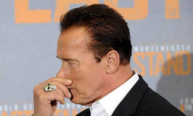 Schwarzenegger werde arbeiten Grab