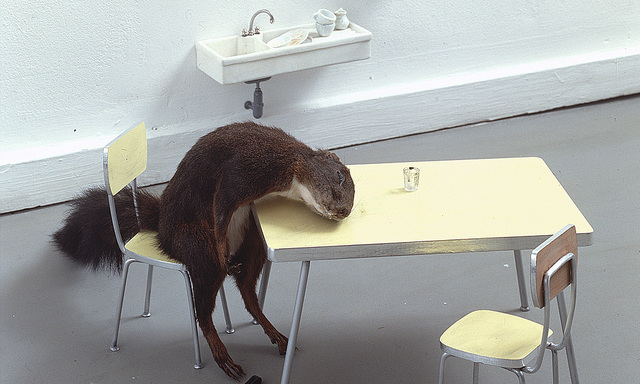 Maurizio Cattelan: 