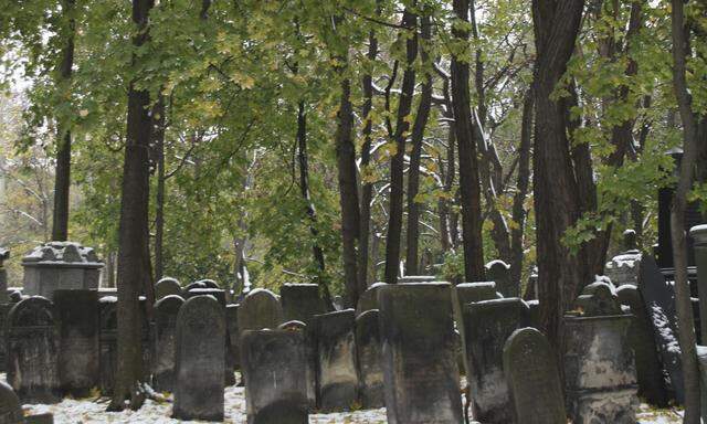 Wichtige Recherchequelle. Ein jüdischer Friedhof in Polen, 1806 gegründet. 