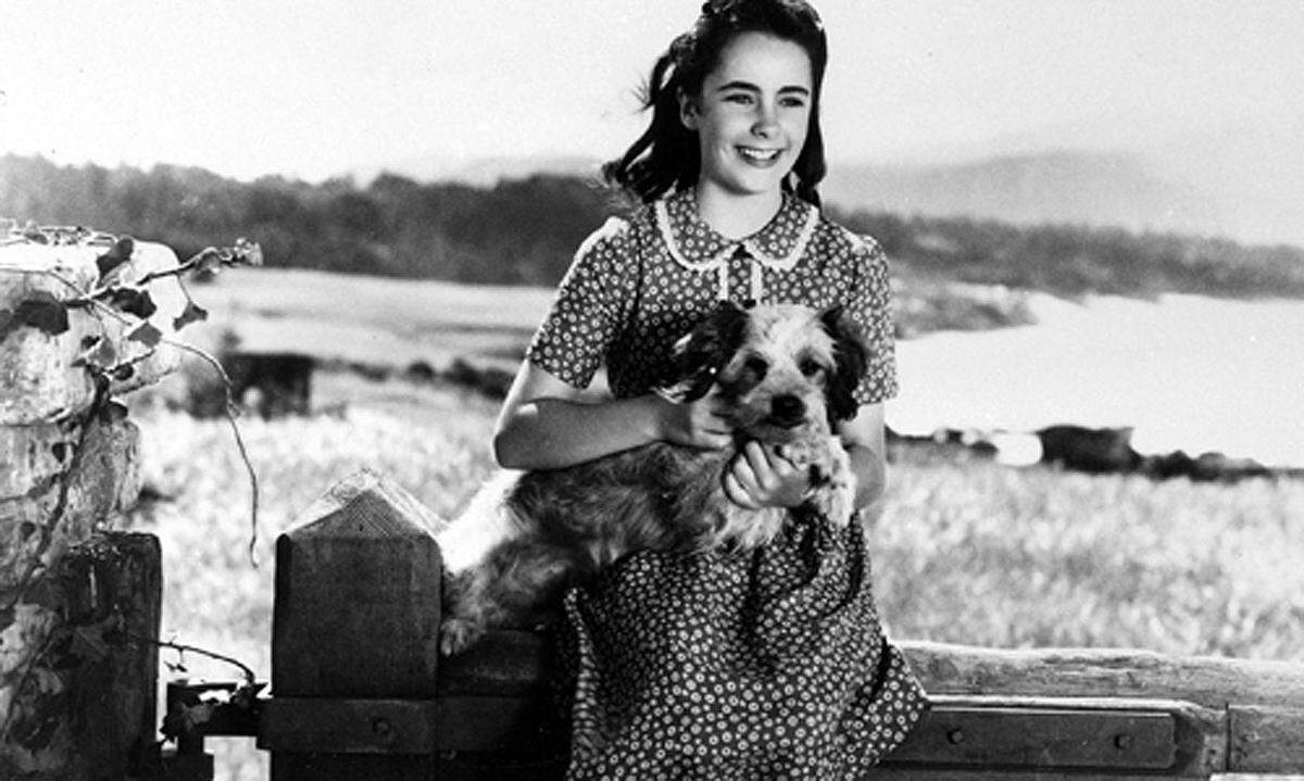 Taylor war der Sprung vom Kinderstar zur ernst zu nehmenden Schauspielerin gelungen: 1942 stand sie als Zehnjährige für "Lassies Heimkehr" erstmals in einer Hauptrolle vor der Kamera.
