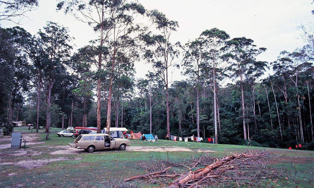 Tage später wieder an der Küste, hier ein Campingplatz an der Sunshine Coast, Queensland.