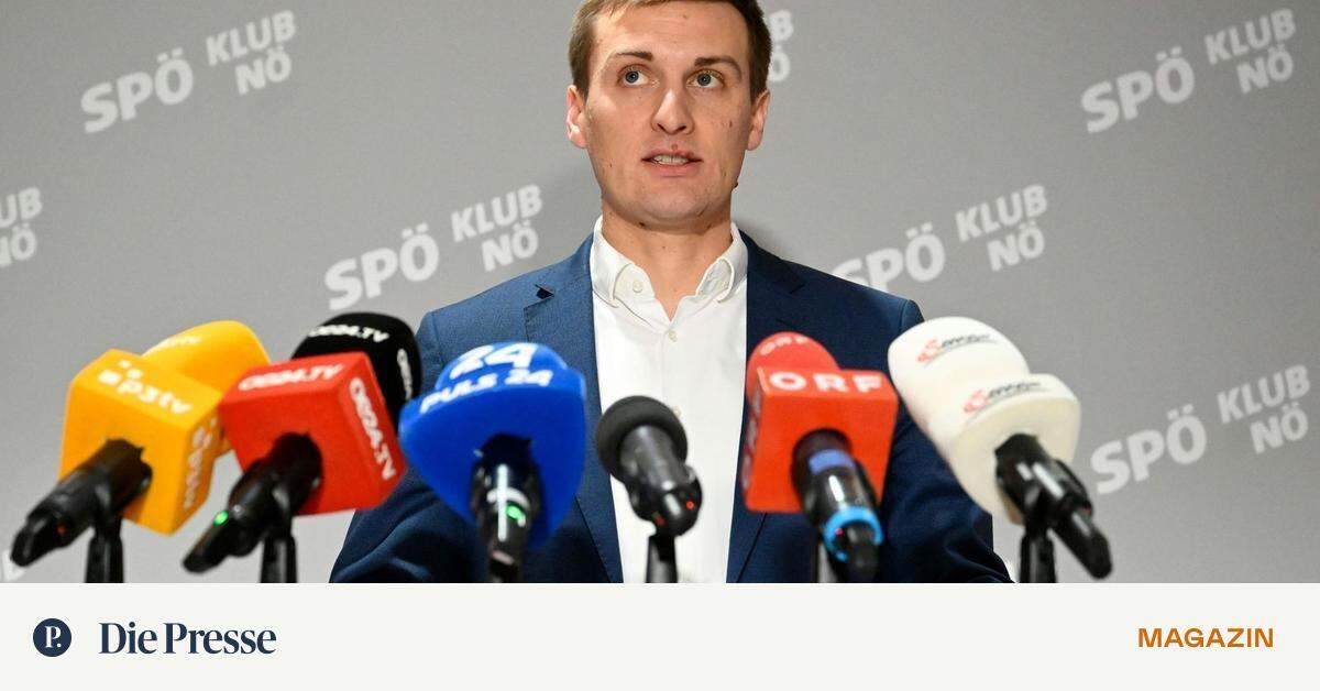 Warum Sich Die ÖVP über Den Neuen Roten Chef Freut ... | DiePresse.com