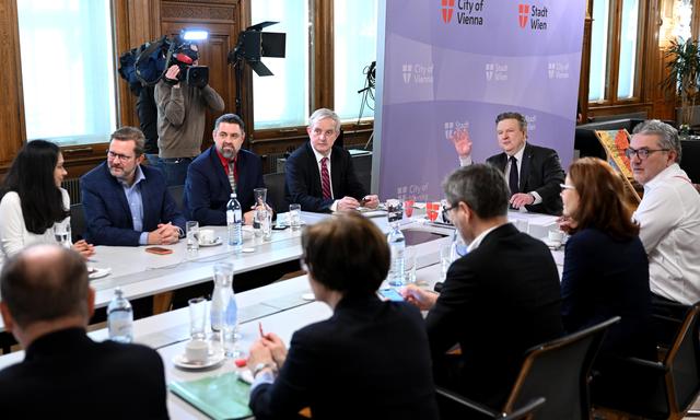 Die damalige Ärztekammer-Spitze bei einem Treffen mit Wiens Bürgermeister, Michael Ludwig, und Gesundheitsstadtrat Peter Hacker. Das Gespräch fand im Februar dieses Jahres statt.