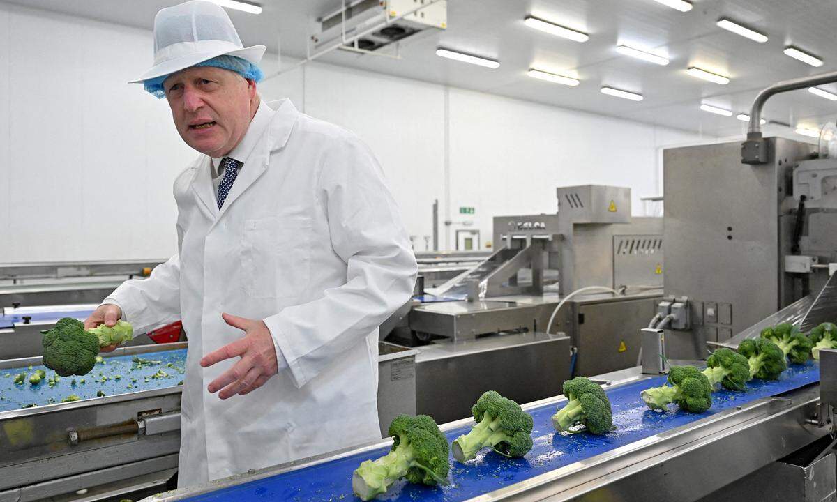 Boris Johnson beim Broccoli-Sortieren bei einem Gemüseproduzenten in Südwestengland im Juni 2022.