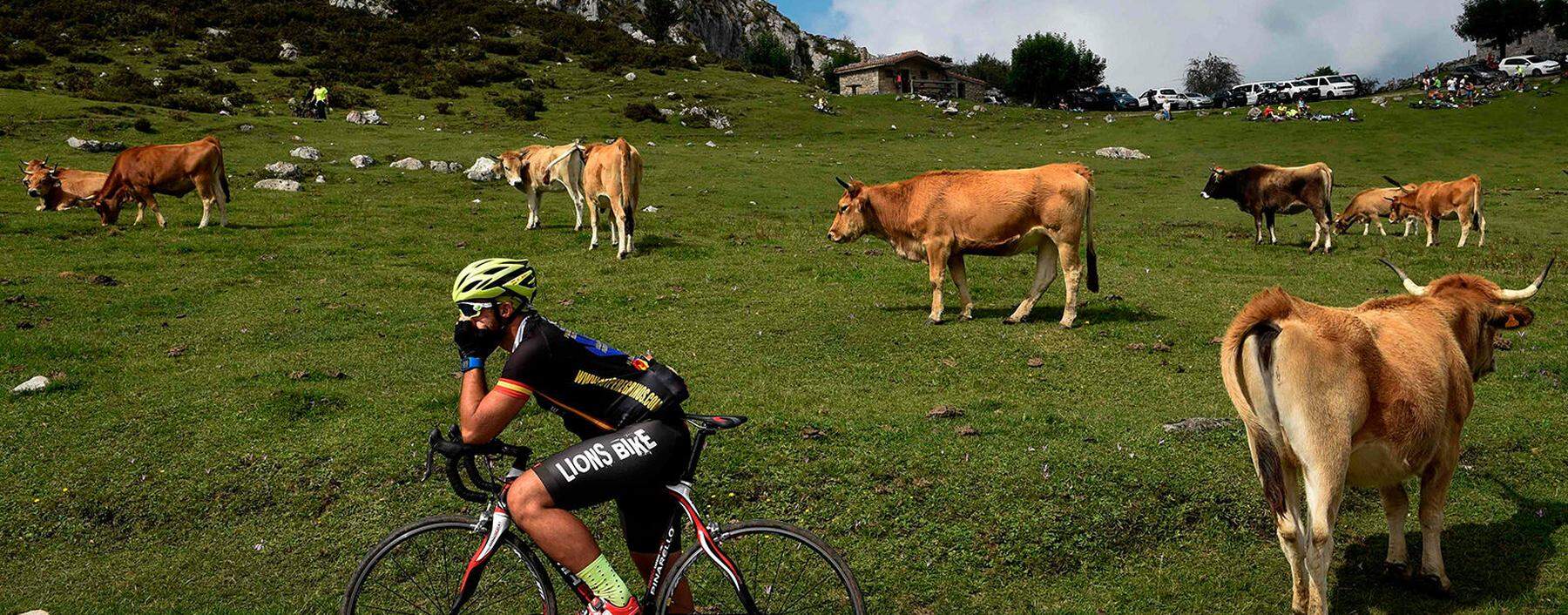 Mit Vernunft die Natur genießen, sich bewegen, mit dem Rad fahren – aber nicht in Gruppen, nicht zu lang.