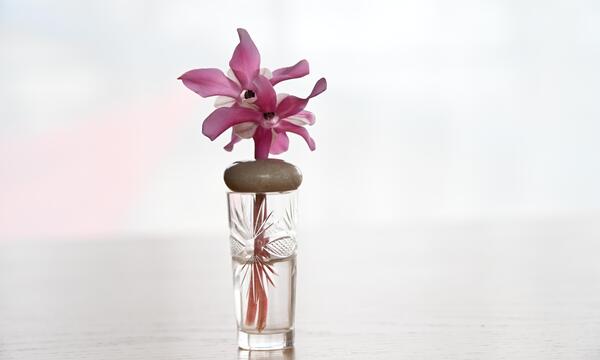 Die selbst gemachte Veilchenvase im Schnapsglas