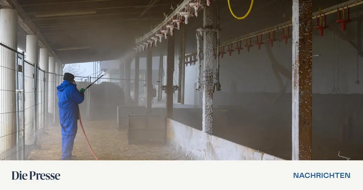 Vogelgrippe-Stallpflicht-in-Hochrisikogebieten-tritt-in-Kraft