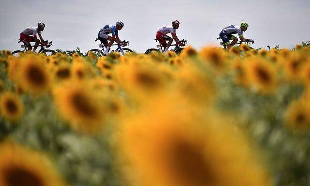 Symbolbild Tour de France
