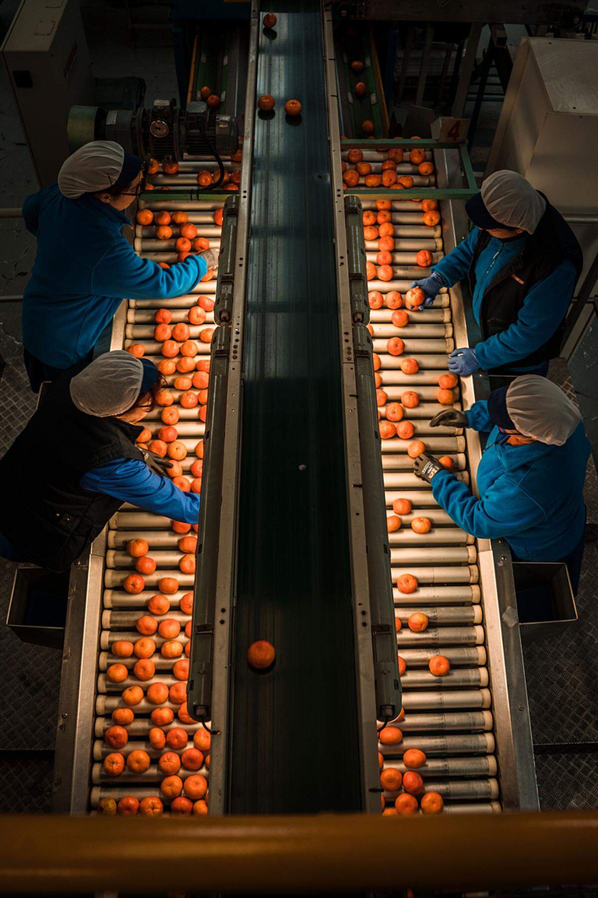 Mit seiner Fotoserie „La Terreta“ setzt sich der 25-jährige Spanier Sergi Villanueva gegen alle Studenten bei den Sony World Photography Awards durch. „La Terreta“ zeigt eine Darstellung seines Heimatortes und wirft ein neues Licht auf den Anbau- und Ernteprozesses von Orangen.