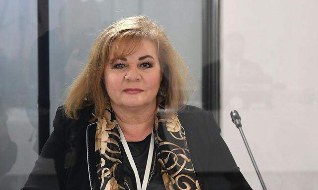 Ilse Vrabl-Sanda im U-Ausschuss