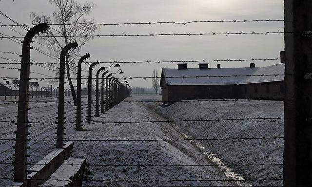 Former Auschwitz-Birkenau concentration camp is pictured through a barbed wire fence during ceremonies to mark the 69th anniversary of the liberation and commemorate the victims of the Holocaust in Birkenau