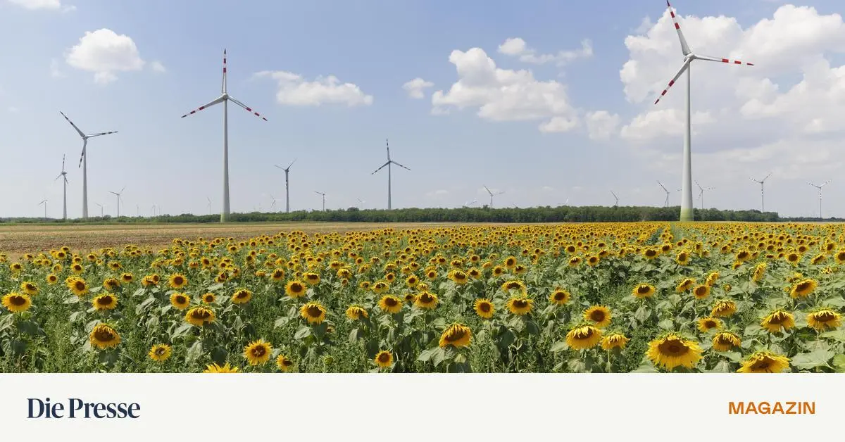 Auftakt-der-ORF-Sommergespr-che-Die-Klimapolitik-der-VP-nach-Leonore-Gewessler-premium-