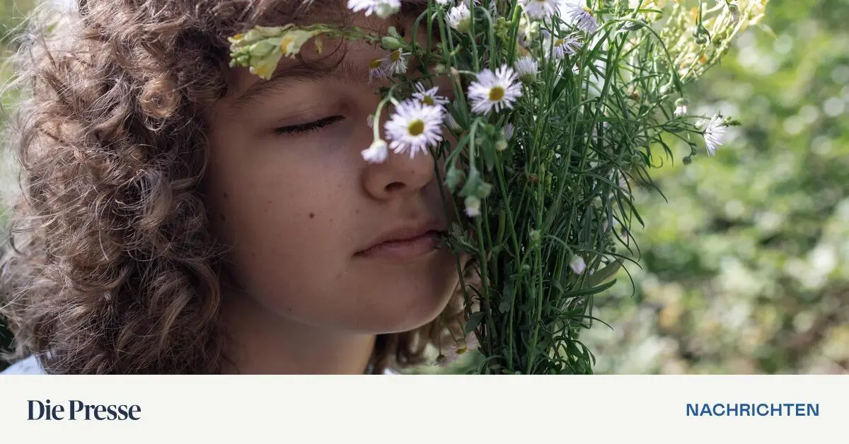 40-Prozent-leiden-an-Geruchs-oder-Geschmacksst-rungen