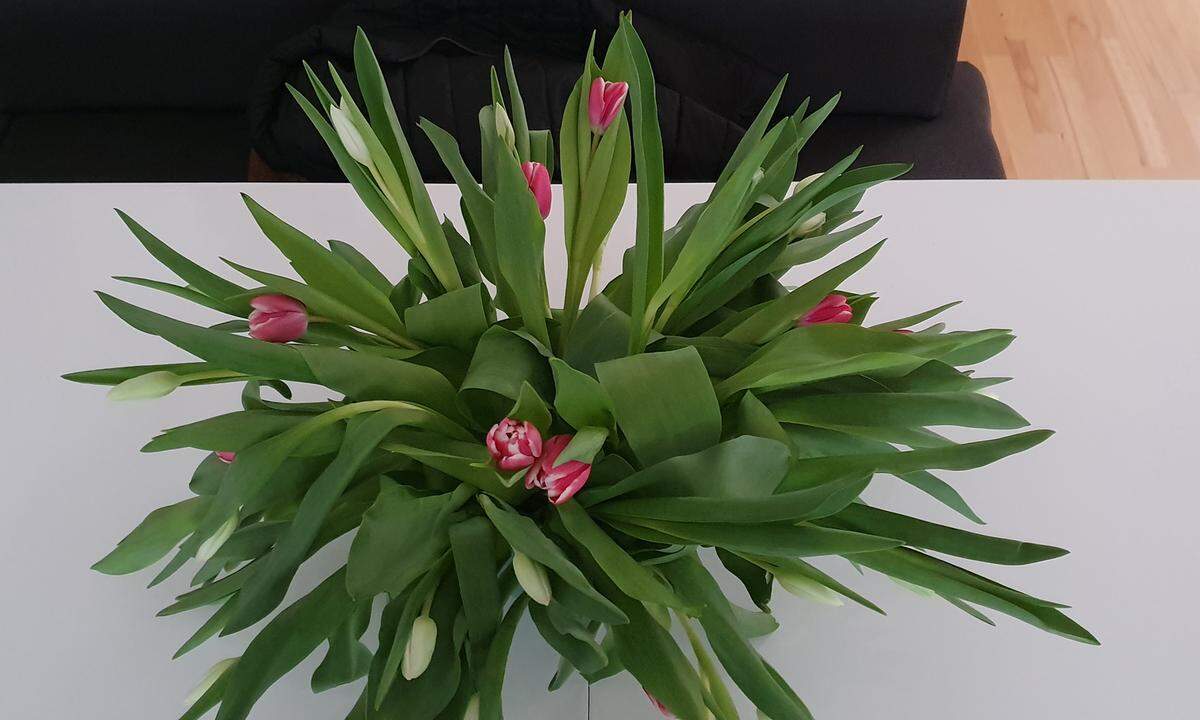 Ein Strauß Tulpen (normal).