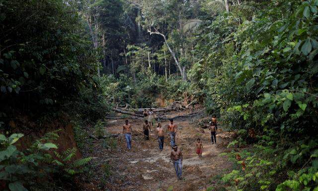 Bei der Amazonas-Synode geht es ab Sonntag nicht nur um Brasiliens Regenwald.