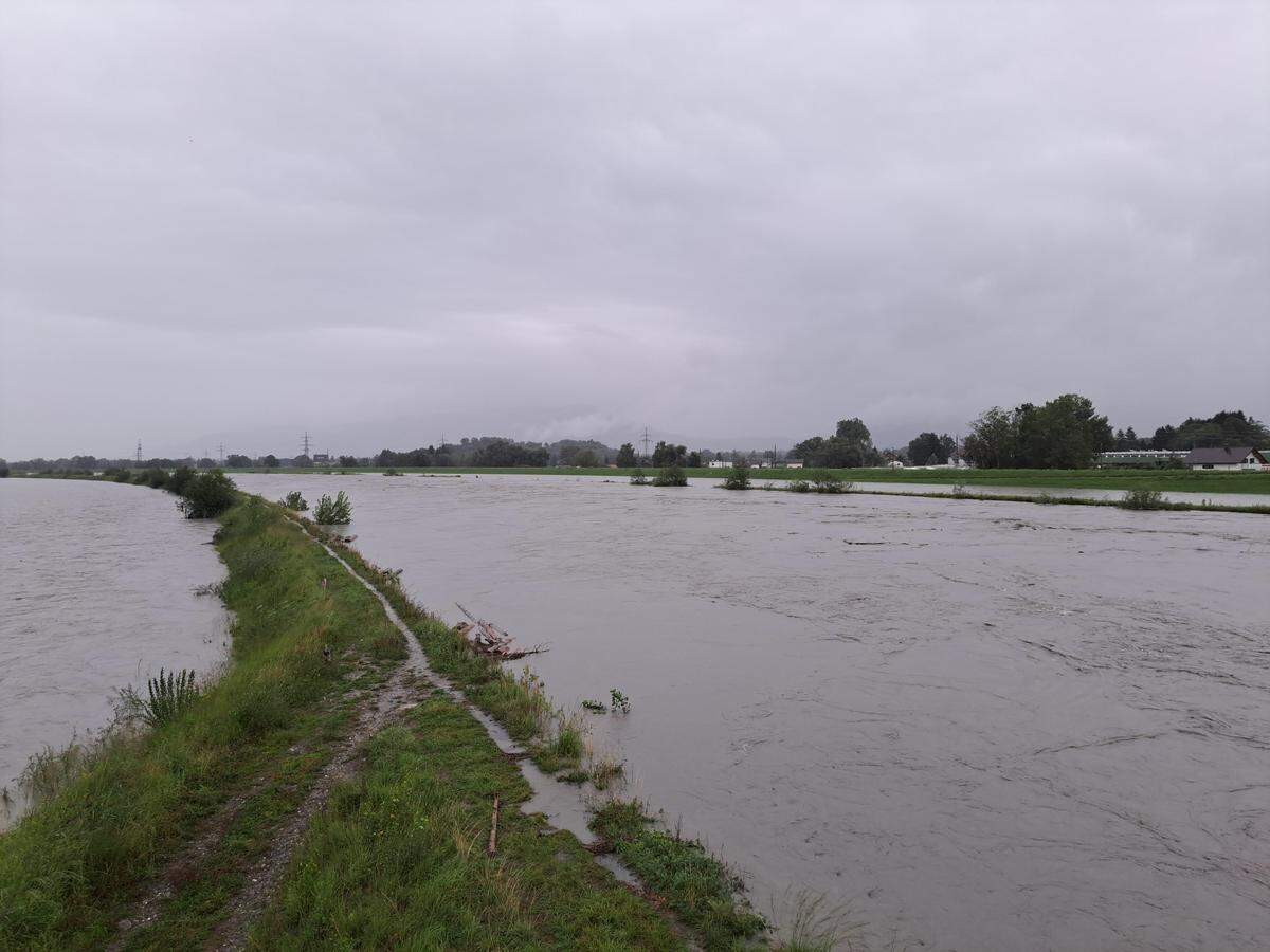 Teilweise überschwemmte der Rhein in der Nacht zwischen Lustenau und der Mündung in den Bodensee seine Vorländer. 
