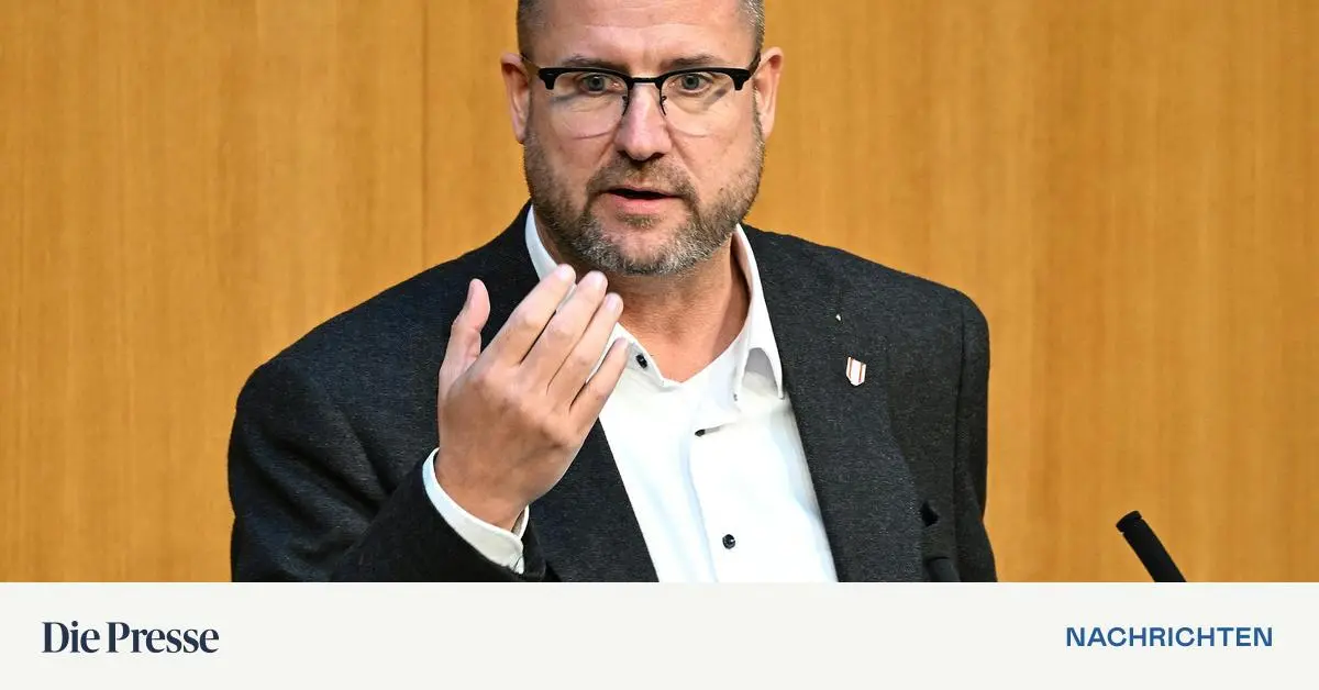 FP-stellt-Bedingungen-f-r-Zustimmung-zum-Strommarktgesetz