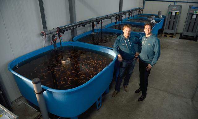 Bernhard Zehetbauer (l.) und Michael Berlin betreiben mit zwei Kollegen eine Aquaponic-Anlage in einer Wiener Gärtnerei.