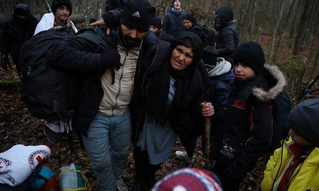 Migrants gather in a forest near the Polish-Belarusian border outside Narewka