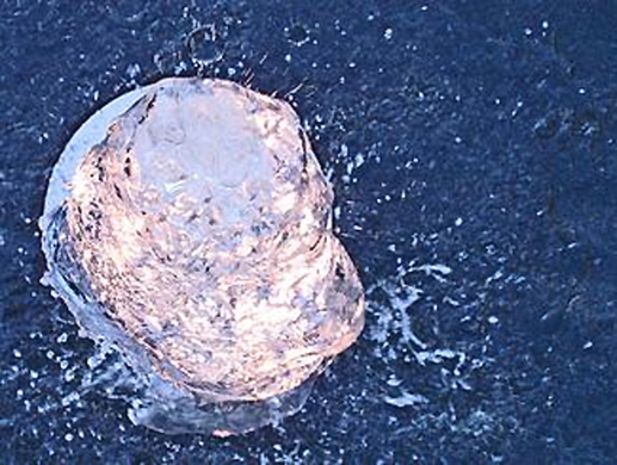 Aktien-Kurse steigen. Sollten sie zumindest. Tun sie auch fast immer, manchmal jedoch ohne nachvollziehbaren Grund und viel zu rasch. Kaum erkennen die Anleger die Gefahr, platzt die Blase auch schon. Spektakuläre Börsencrashs sind so alt wie die Börse selbst.