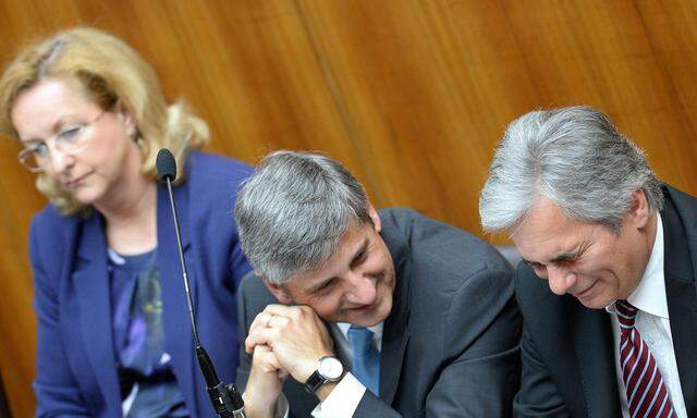 NATIONALRAT: FAYMANN/SPINDELEGGER/FEKTER