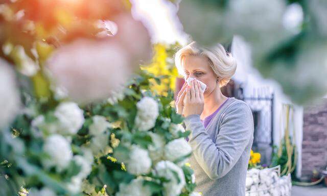 Auswertungen der Hormonlevels von Allergikern aller Art zeigen, dass sie eine dauerhafte Stressdämpfung erleben: Diese lässt aber nach, wenn es ernst wird.