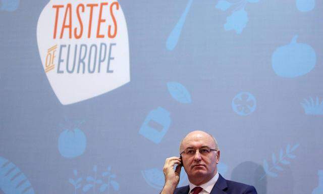 European Agriculture Commissioner Phil Hogan delivers a speech during a meeting with a European businessmen delegation