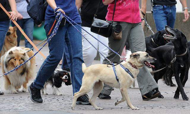 Protest gegen neues Hundegesetz