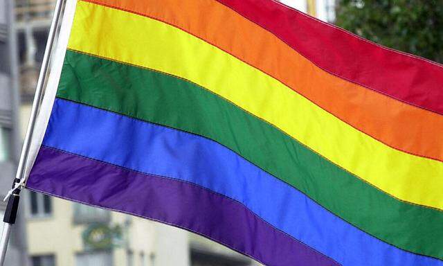 SPÖ-Organisationen demonstrieren für Homo-Ehe