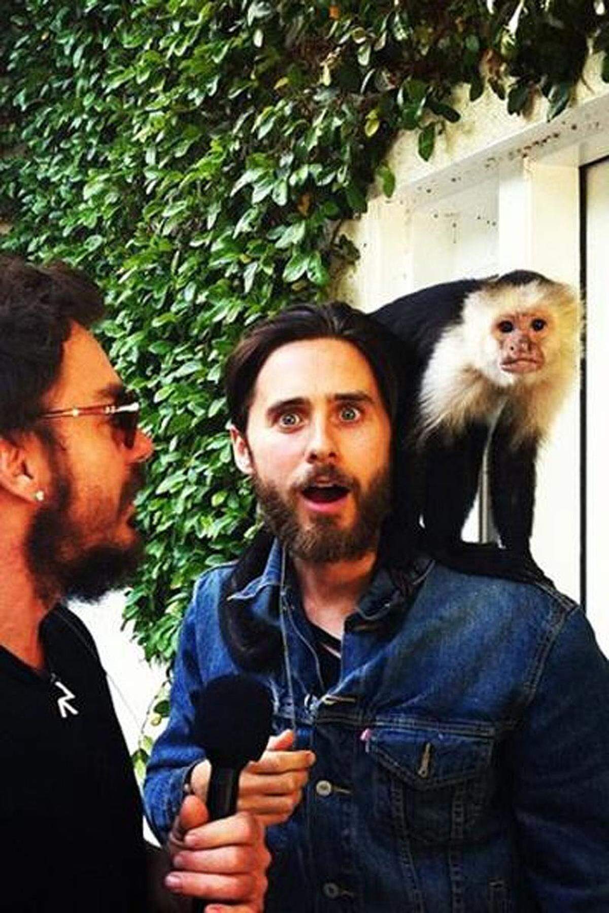 Jared Leto und der Affe - wer hat sich mehr erschrocken?