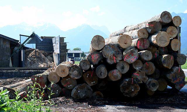Holz ist zu einem teuren Baustoff geworden.