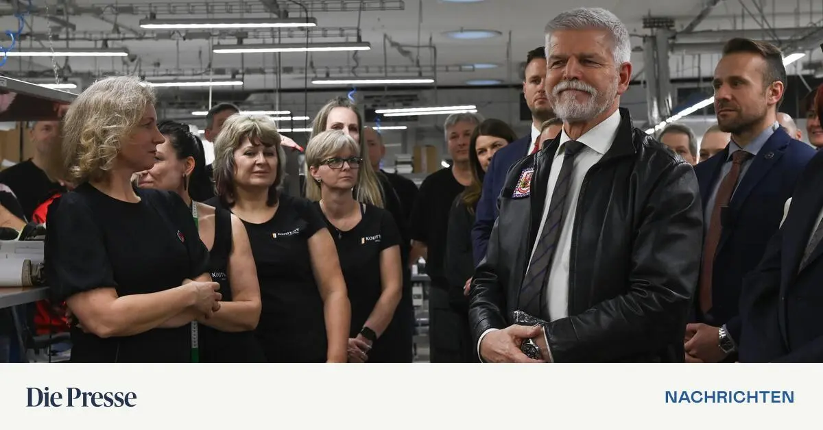 Droh-SMS-und-Erpressung-Epischer-Streit-l-hmt-die-tschechische-Staatsf-hrung-premium-