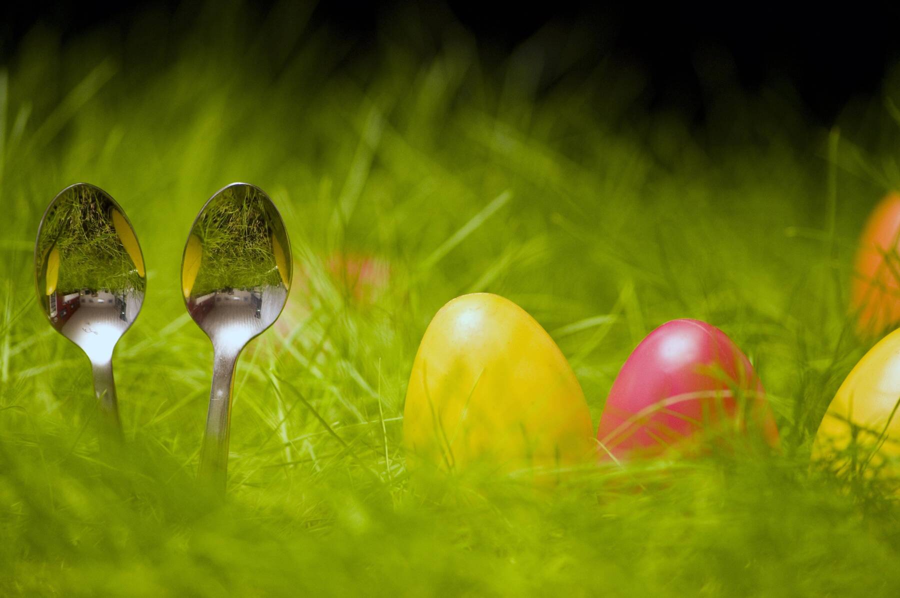 Die eine kriegt ein buntes Ei, die andere veganen Eiaufstrich [premium]