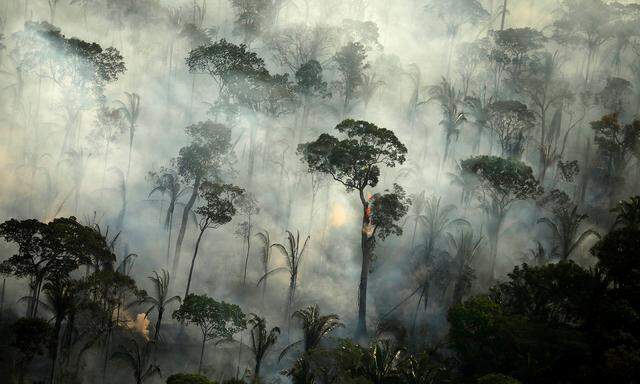 Die globale Erwärmung erhöht die Waldbrandrisken. Die Forschungsmission Firex-AQ untersucht deren Einfluss auf Luftqualität und Klima.