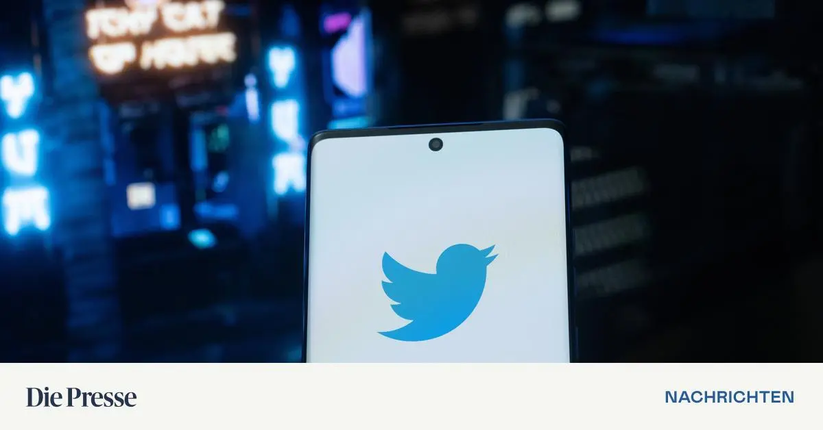 Musk-und-ein-Start-up-ringen-um-den-Namen-Twitter-