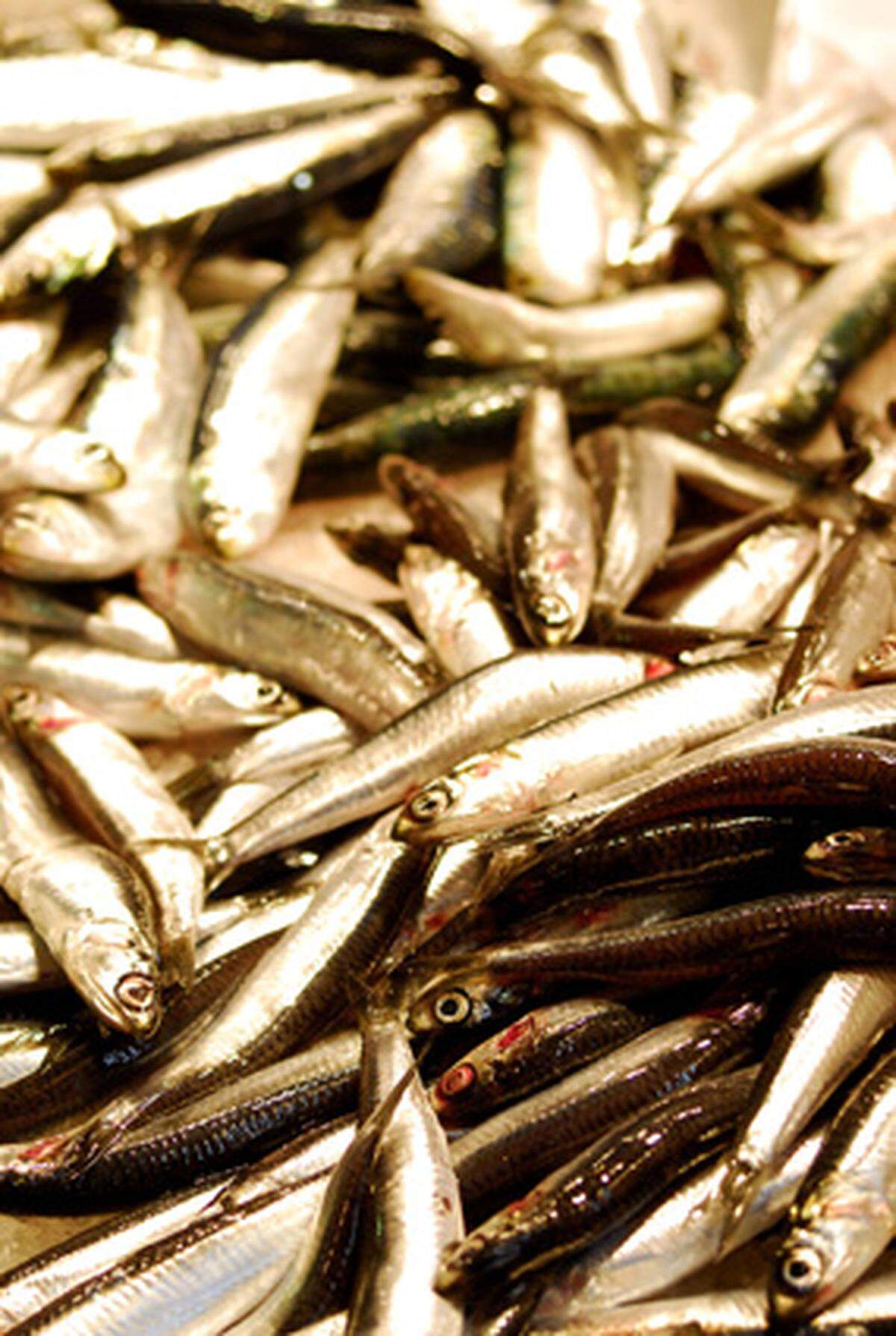 Die Inhaltsstoffe von fettreichem Fisch schützen möglicherweise vor Krebs. Laborstudien der Universität Jena deuten darauf hin, dass der regelmäßiger Konsum der darin enthaltenen ungesättigten Fettsäuren das Tumorrisiko senkt. Der Fischkonsum aktivierte Gene, die die Bildung von Enzymen anregen, welche vor schädigenden Substanzen schützen.